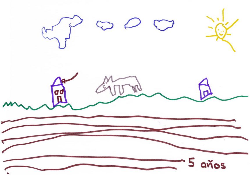 Campo_2