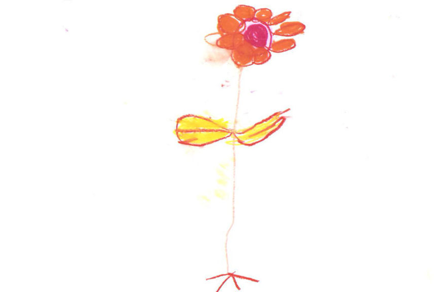 Flor-santiago-ferris
