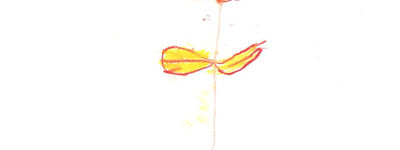 Flor