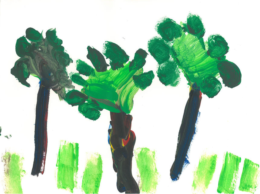 Forest_2