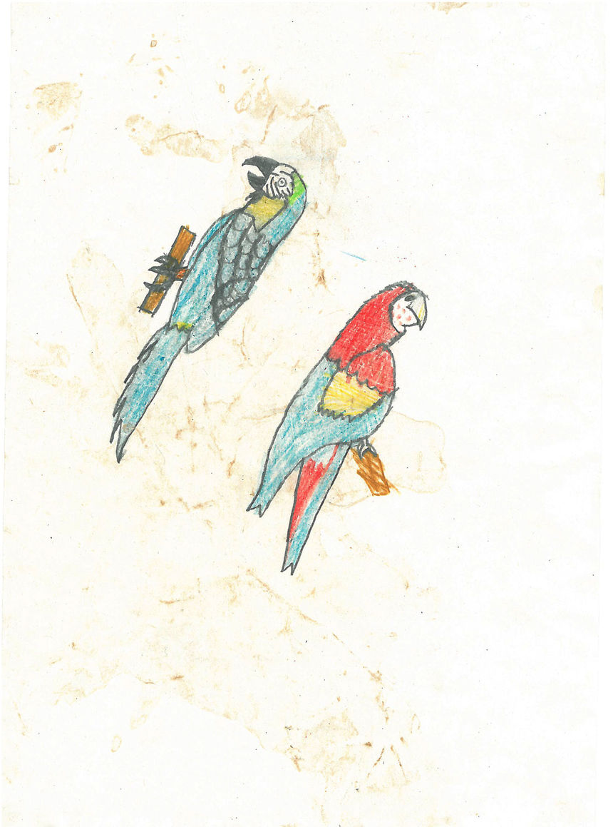 Loros