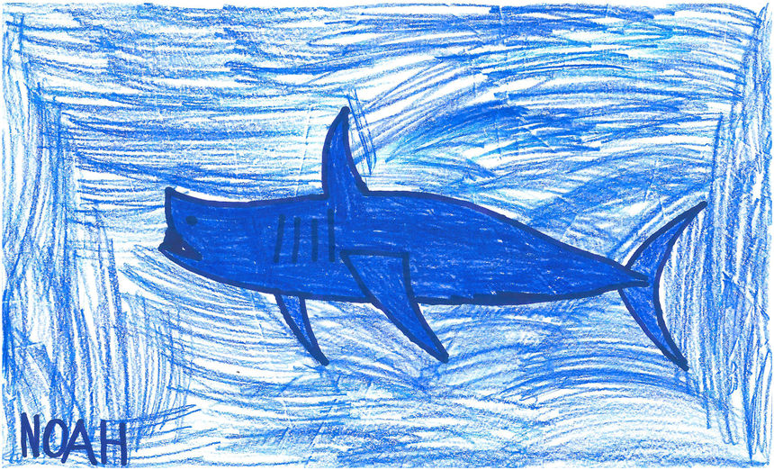 Shark