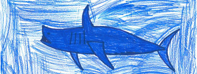 Shark