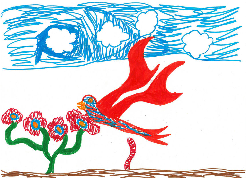 Bird
