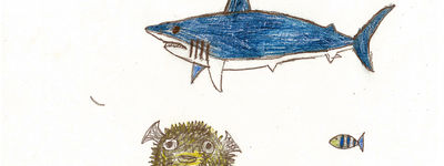 Fishes2