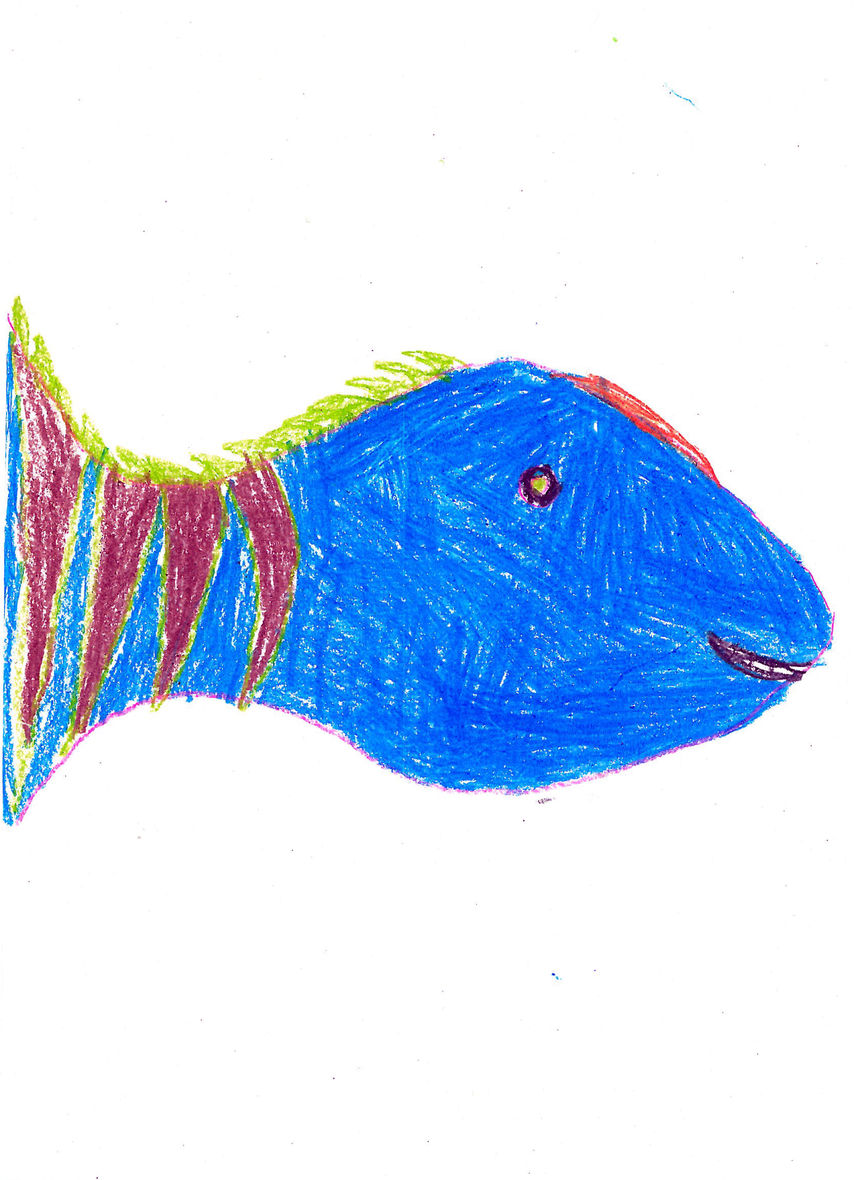 Fish