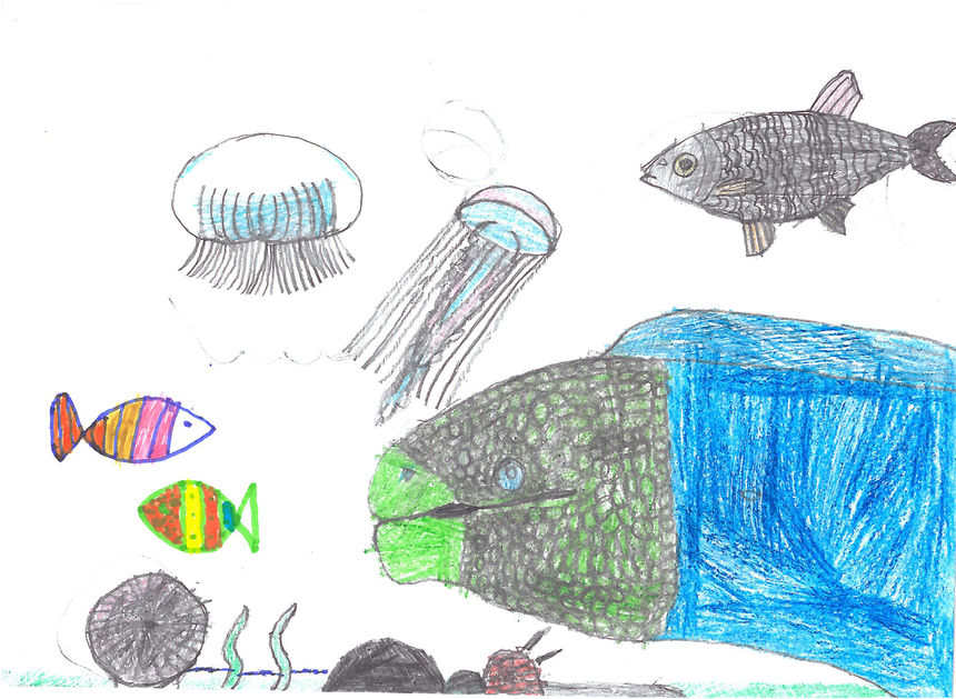 Fishes