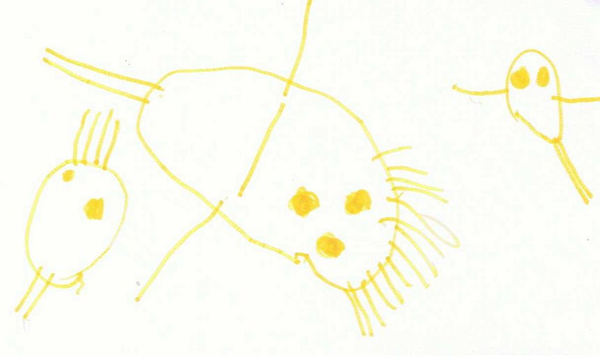 Untitled_8
